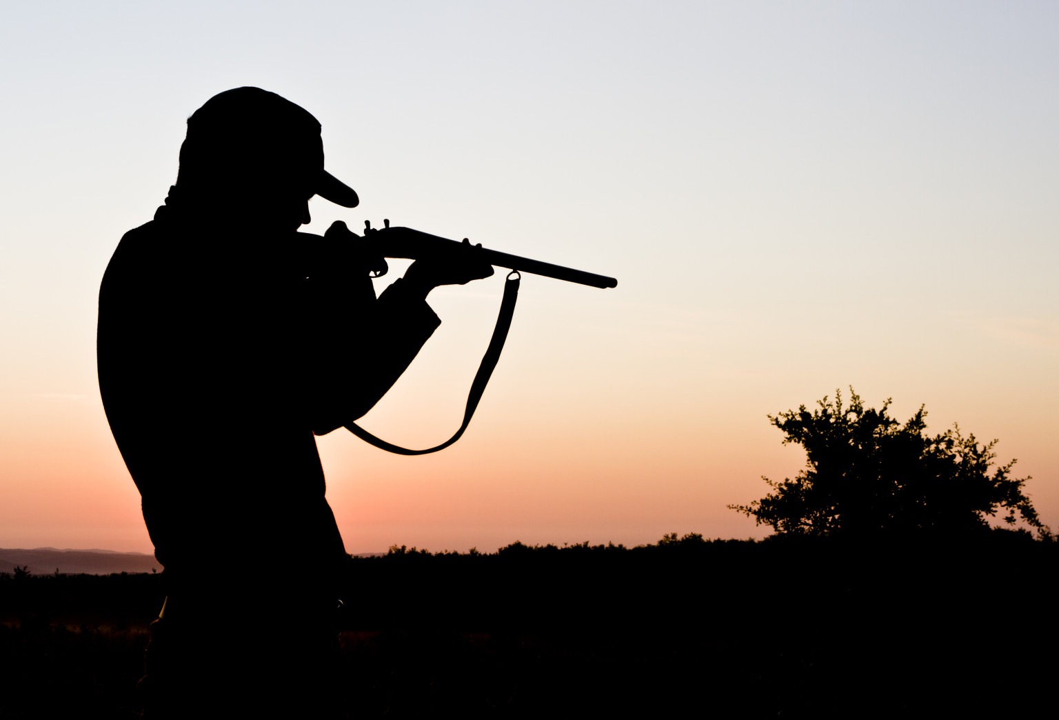 Chasse à Auteuil-Le-Roi