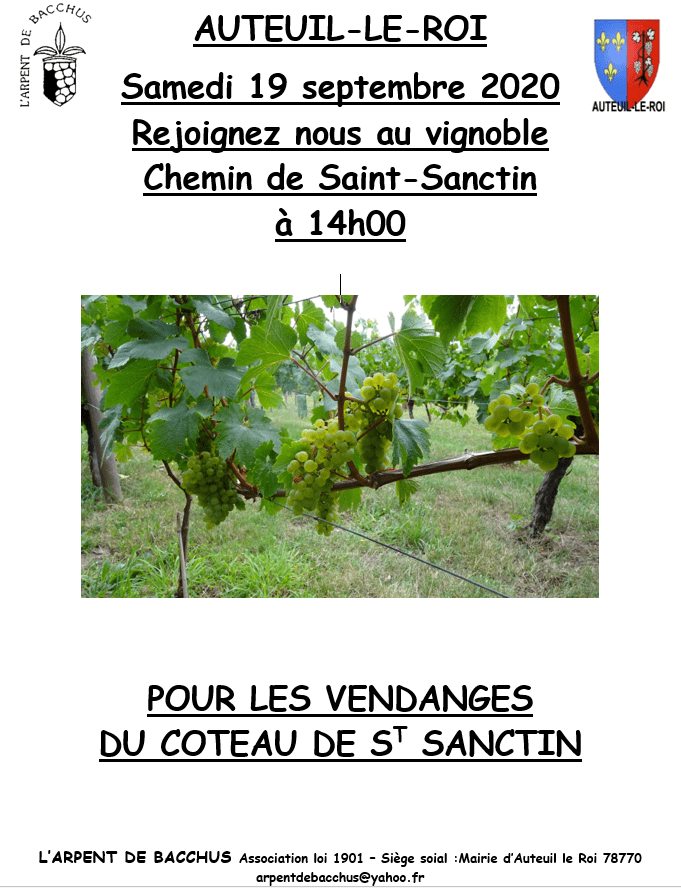 Vendanges 2020