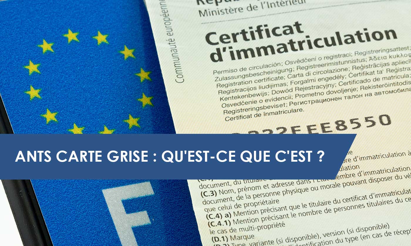 Ants carte grise