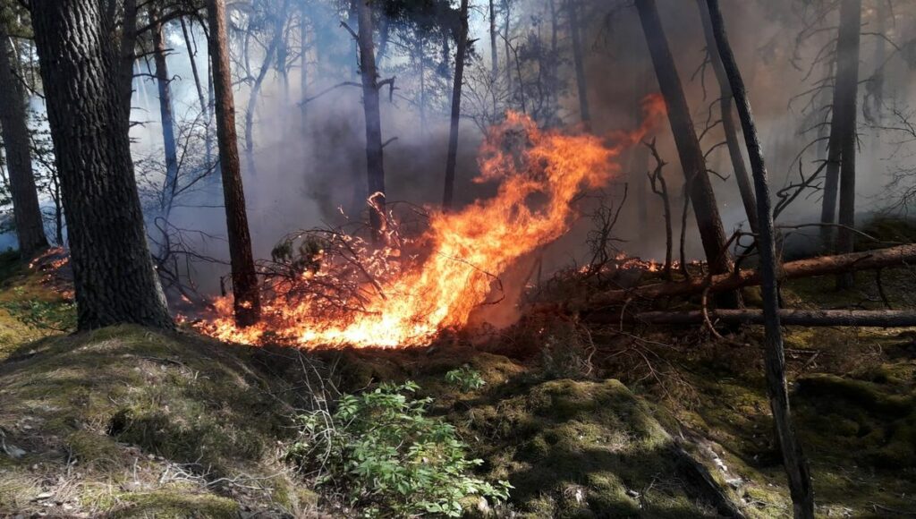 risque de feu de forêt