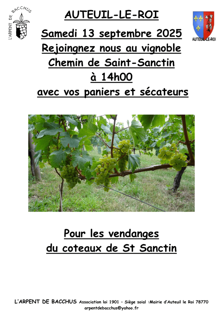 Aff vendanges A4 2025
